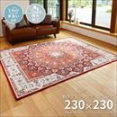 モダン ラグマット/絨毯 【プリシア 約230×230cm】 洗える 撥水 防滑加工 転写プリントラグ 〔リビング ダイニング〕【代引不可】