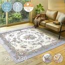 ラグマット/絨毯 【約230×230cm ベージュ】 洗える 撥水 ホットカーペット可 シェニールゴブラン織りラグ ブーケ 〔リビング〕【代引不可】